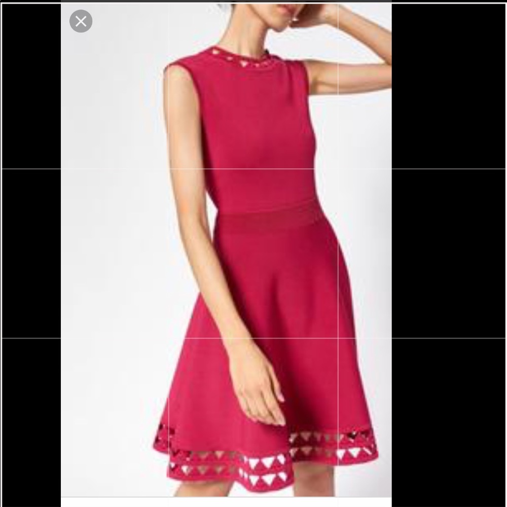 NWT Ted Baker Kathryn cutwork knitted skater